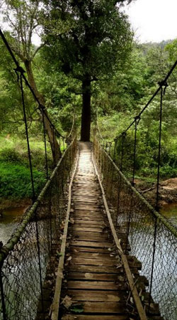 coorg-karnataka-india