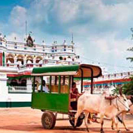 Activity in Chettinad