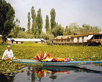 Kashmir