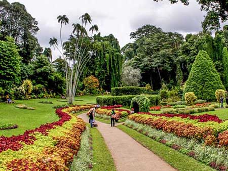 Colombo-Botanical-Garden