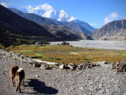 Kagbeni village