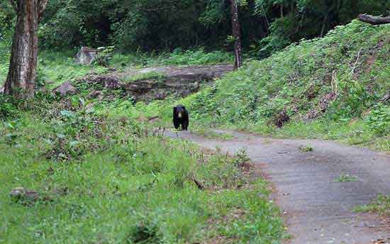 jodapur-tour-india