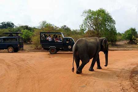  Yala-nationalpark1.jpg